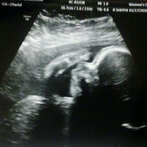 Meet your Posher, Jerriann